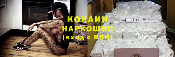 ешки Алексин