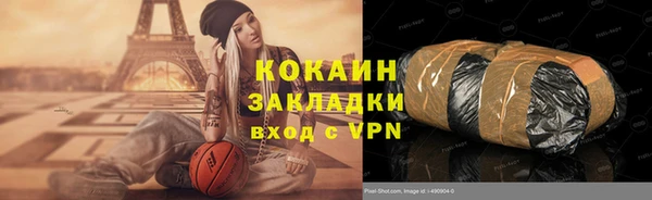 ешки Алексин