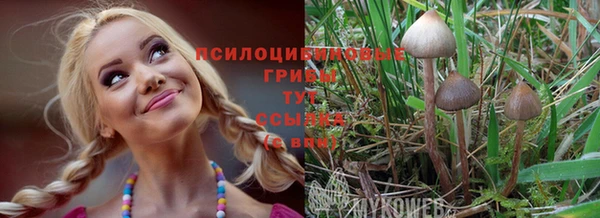 ешки Алексин