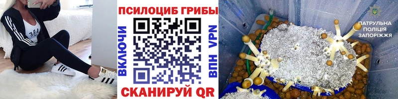 где можно купить наркотик  KRAKEN зеркало  Псилоцибиновые грибы прущие грибы  Артёмовск 